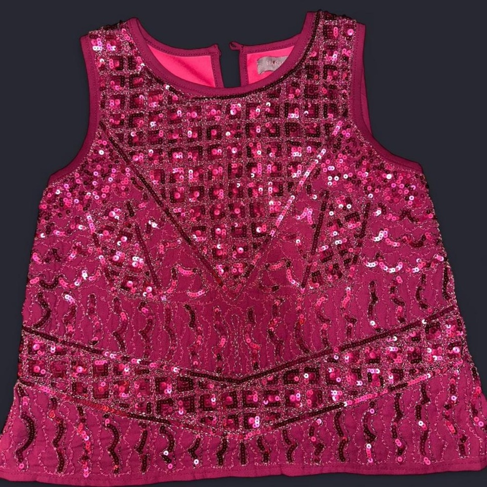 Harper Fuchsia Sequin Embellished Top